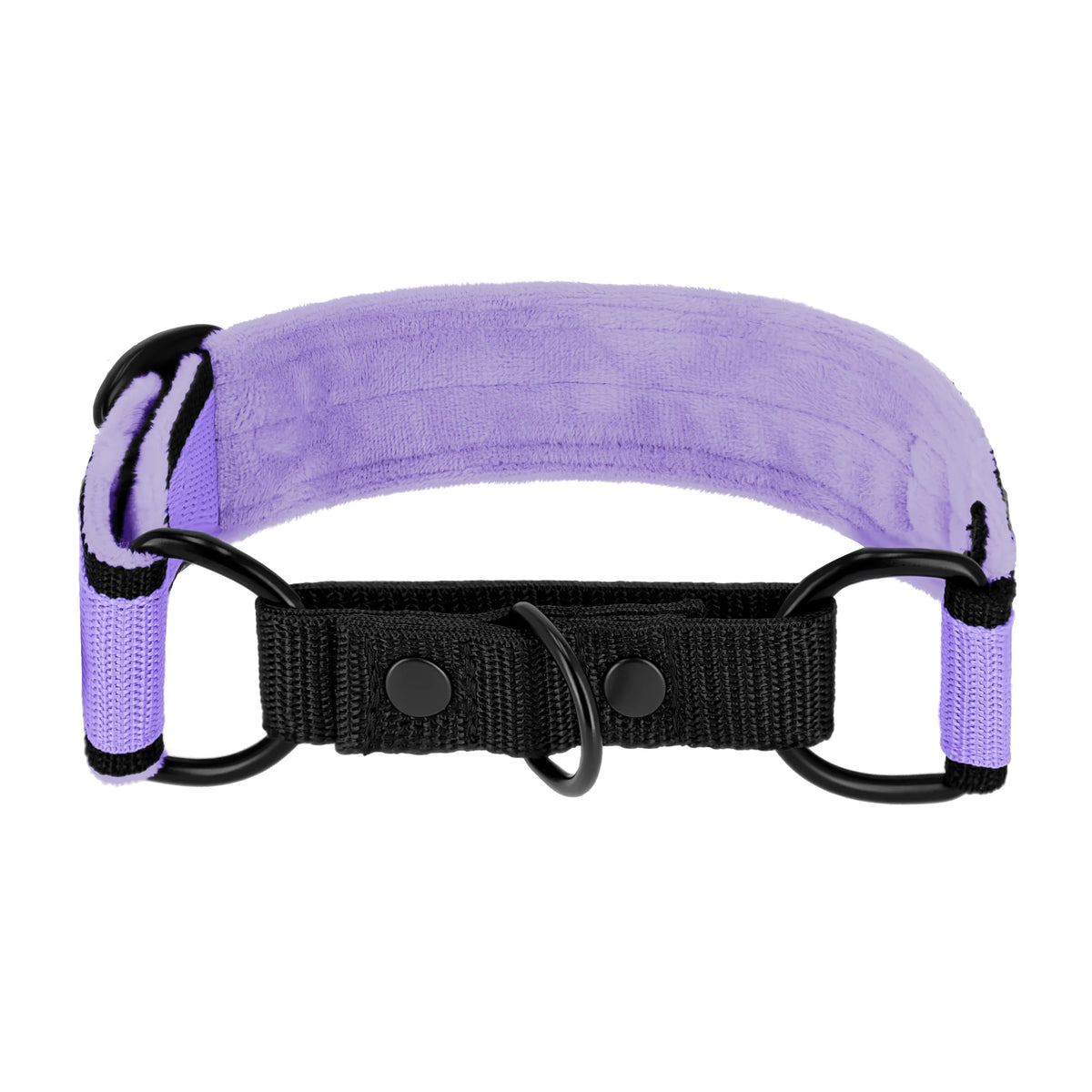 obroża_czarna_baby_purple_2_min