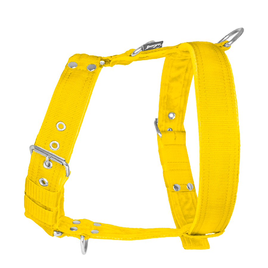 easy walk yellow1