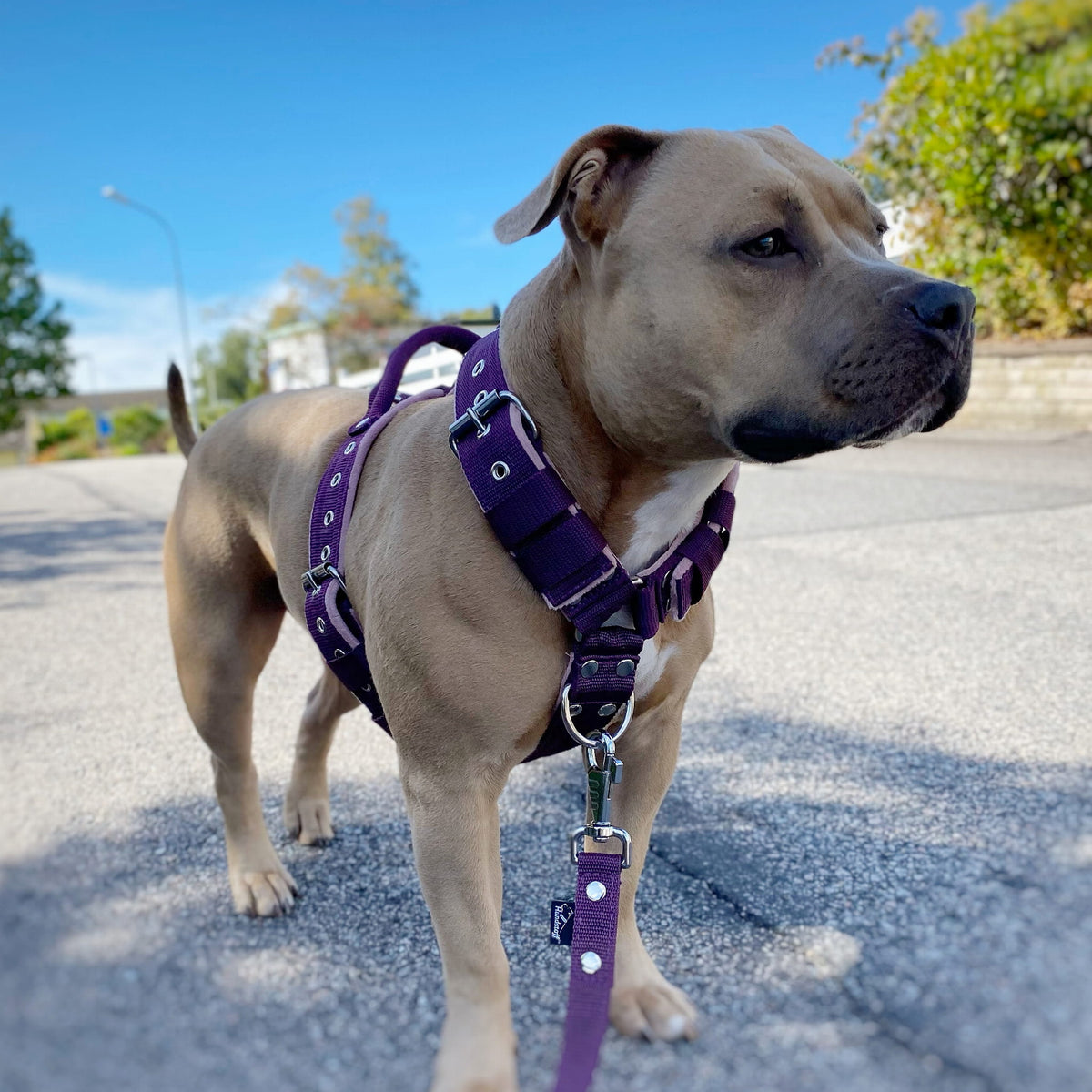 1510