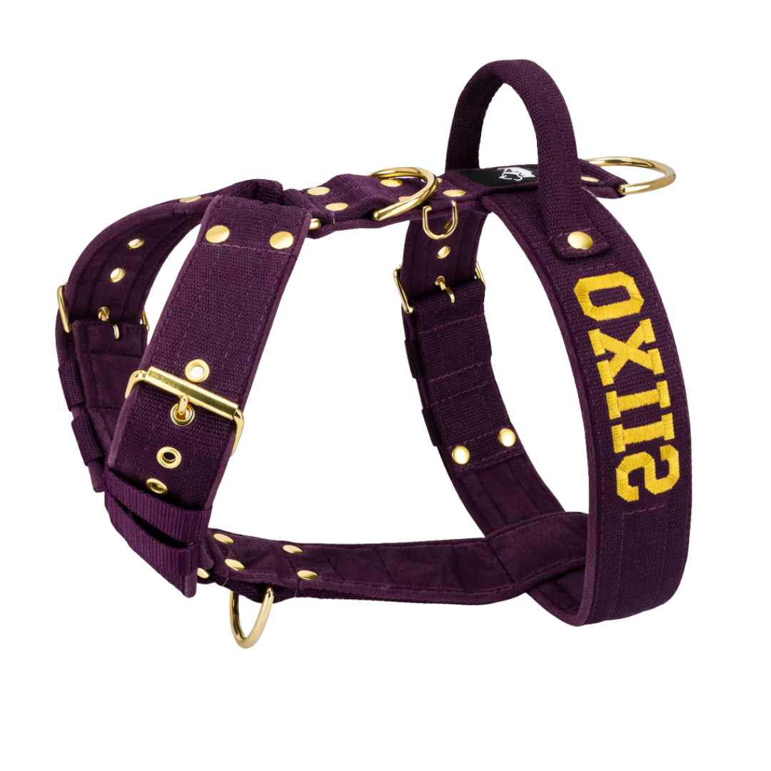 Szelki dla psa typu guard z imieniem - Personal Harness