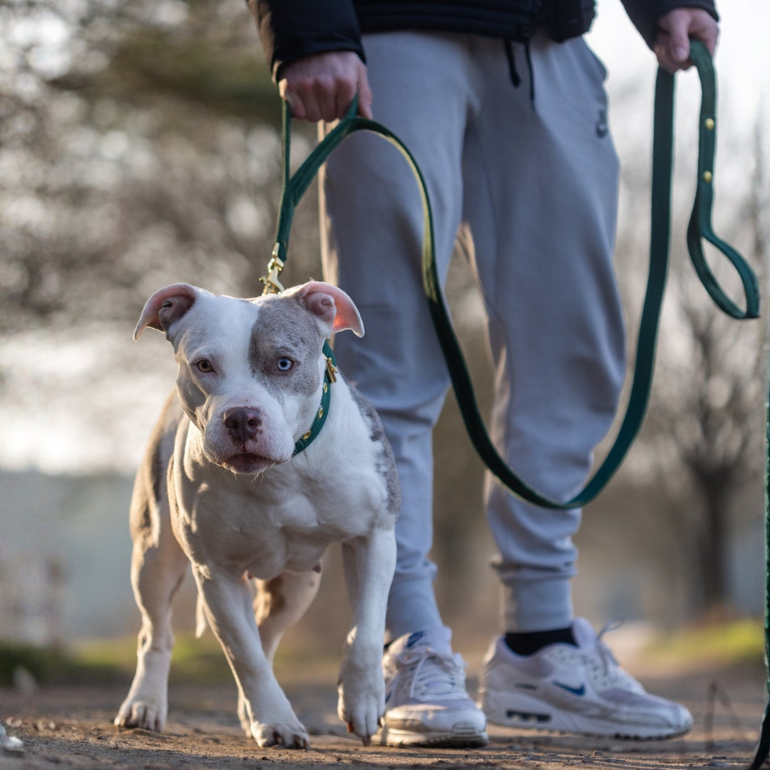 Smycz z dodatkową rączką - Guard Leash Czerwona