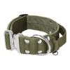 Szeroka obroża z klamrą extreme - Extreme Silver Buckle Khaki