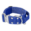 Szeroka obroża z klamrą extreme - Extreme Silver Buckle Niebieska