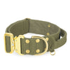 Szeroka obroża z klamrą extreme - Extreme Gold Buckle Khaki