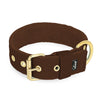 Szeroka obroża z klamrą - Active Golden Dark Brown