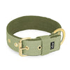 Szeroka obroża z klamrą - Active Golden Olive Green