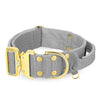 Szeroka obroża z klamrą extreme - Extreme Gold Buckle Szara