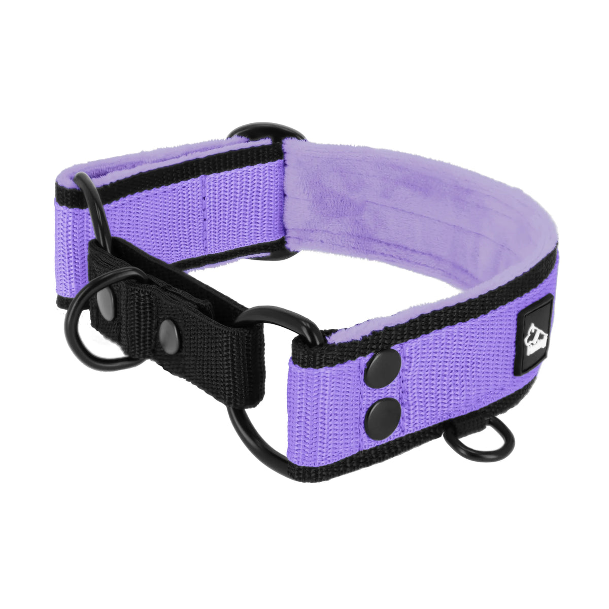 obroża_czarna_baby_purple_1_min