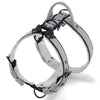 Szelki z raczką typu guard - Easy Walk Black Editon Szare