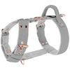 Szelki z raczką typu guard - Easy Walk Rose Editon Szara