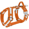 Szelki z szybką klamrą - Easy Walk Extreme Safe Pomarańczowa