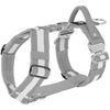 Szelki z szybką klamrą - Easy Walk Extreme Safe Szara
