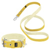 Active obroża i smycz - Active Set Baby Yellow
